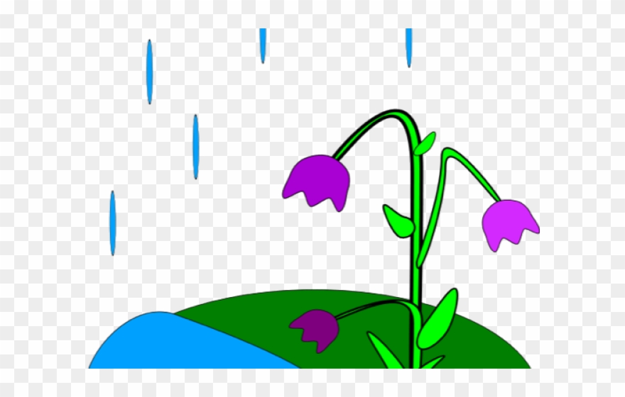 Animated Spring Clipart - Raining Animation - Png Download