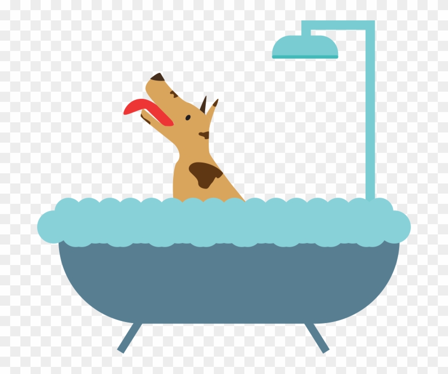 Shower Clipart Warm Bath - Pet Camp: - Png Download