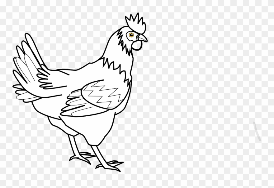 How To Draw A Cock - Chicken Clip Art - Png Download