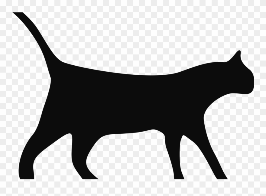 Caramel The Cat Had Been Lost For Two Days When The - Eat A Whole Cat Shower Curtain Clipart