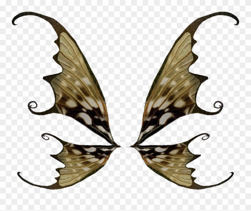 Скачать Архив - Крылья Бабочки Клипарт Clipart
