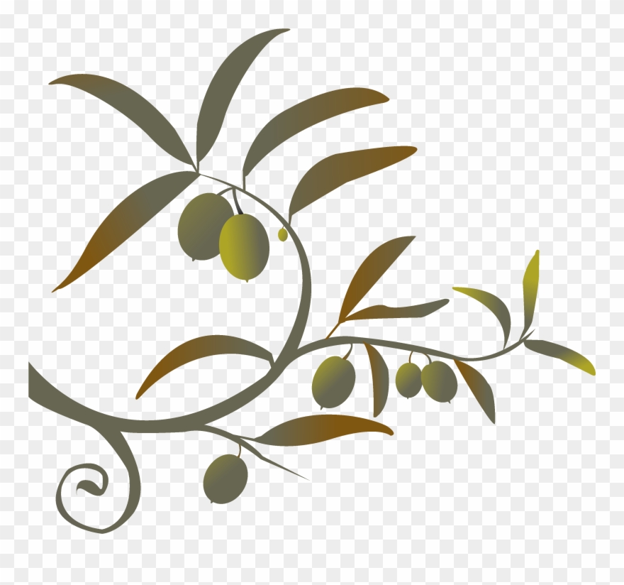 Olive Branch - My Olive Branch [book] Clipart