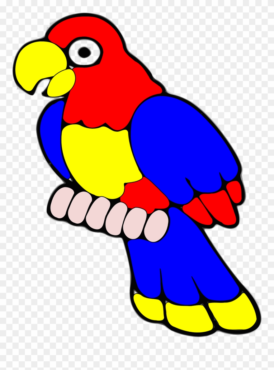 Parrot, Bird, Tropical, Exotic, Red, Yellow, Blue - รูปภาพ นก แก้ว การ์ตูน Clipart