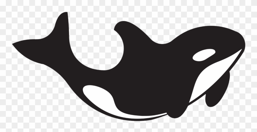 E-gift Card - Batoko - Killer Whale Clipart