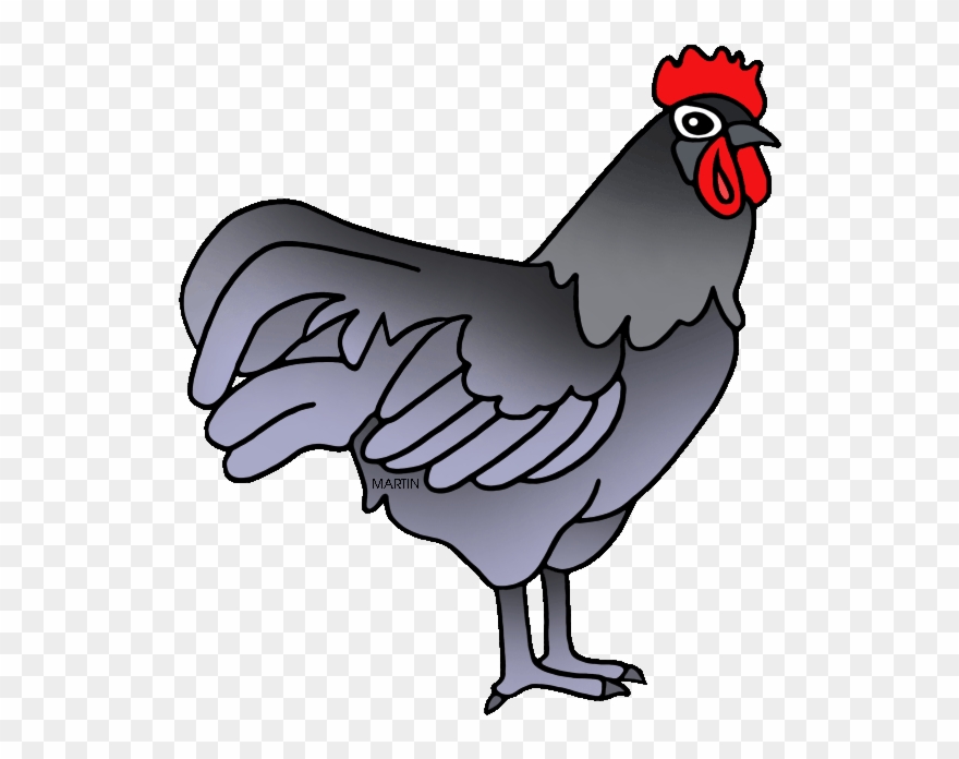 United States Clip Art By Phillip Martin, State Bird - Rooster - Png Download