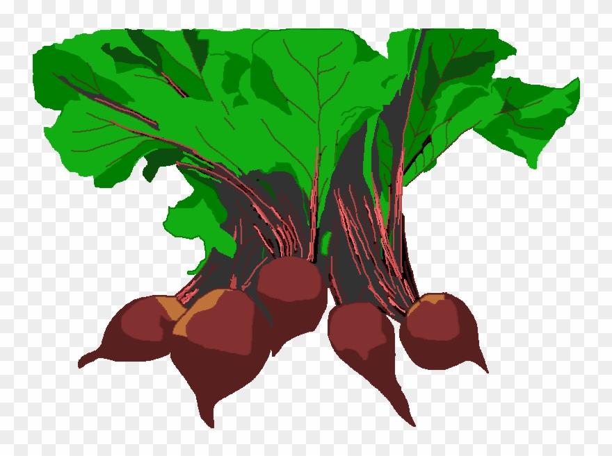 Free Vegetable Garden Clip Art - Beet Greens - Png Download