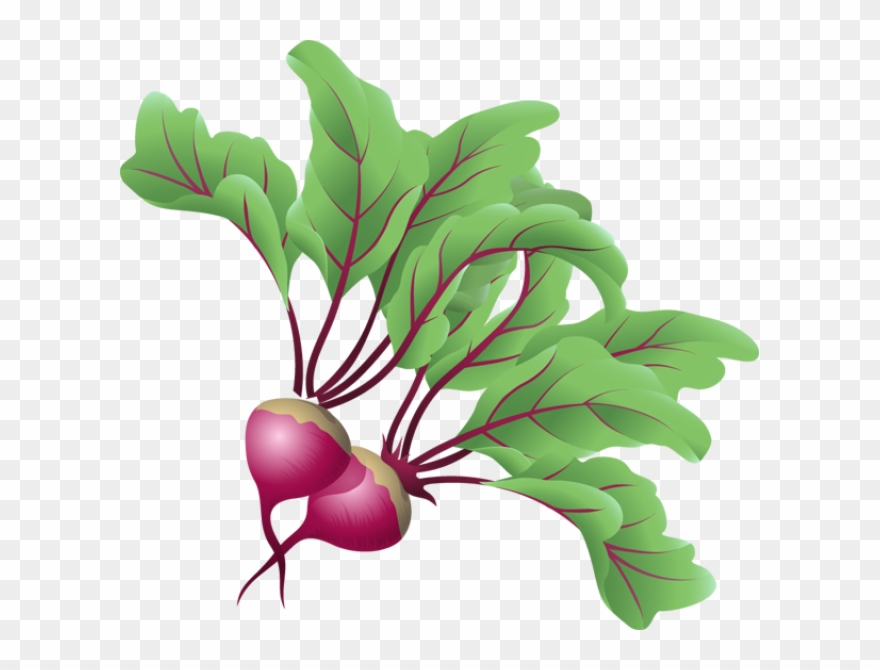 Vegetables - 7 Easy Steps To Eat More Living Foods: Successfully Clipart