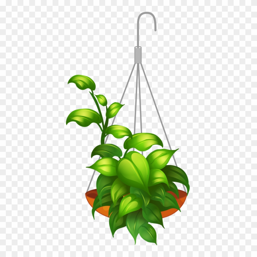 Hanging Plants Clipart Png Transparent Png