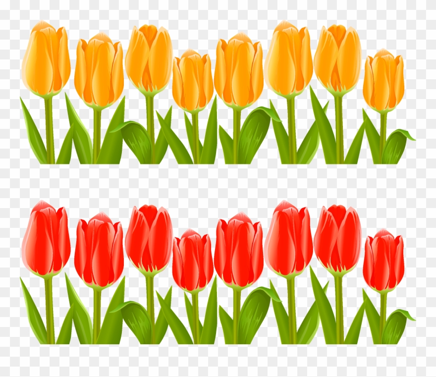 Indira Gandhi Memorial Tulip Garden Flower Clip Art - Tulips Flower Garden Clip Art - Png Download