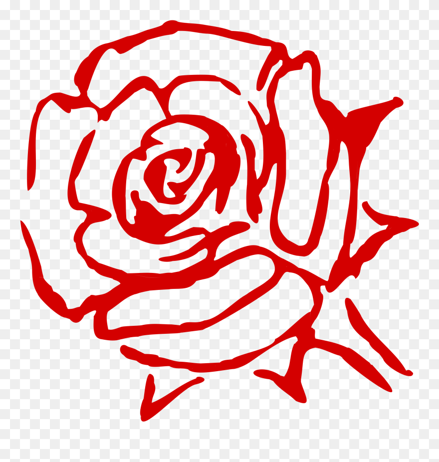 Rose Family Flower China Rose Garden Roses Cabbage - Art Line Red Rose Clipart