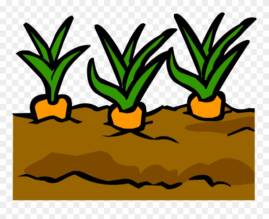 Clipart - Garden - Garden Club Penguin Wikia - Png Download