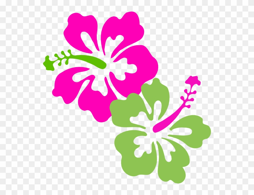 Hibiscus Pink Lime Green Clip Art - Hibiscus Clip Art - Png Download