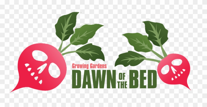 See How We Did Last Year - Cine De San Sebastian Clipart