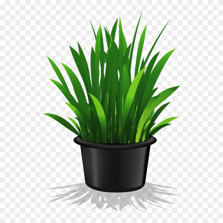 Clip Art Pot Plant Transparent Background - Png Download