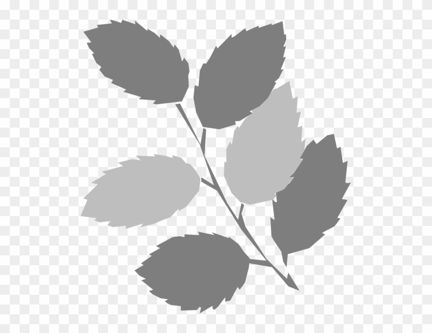 Spring Clip Art - Png Download