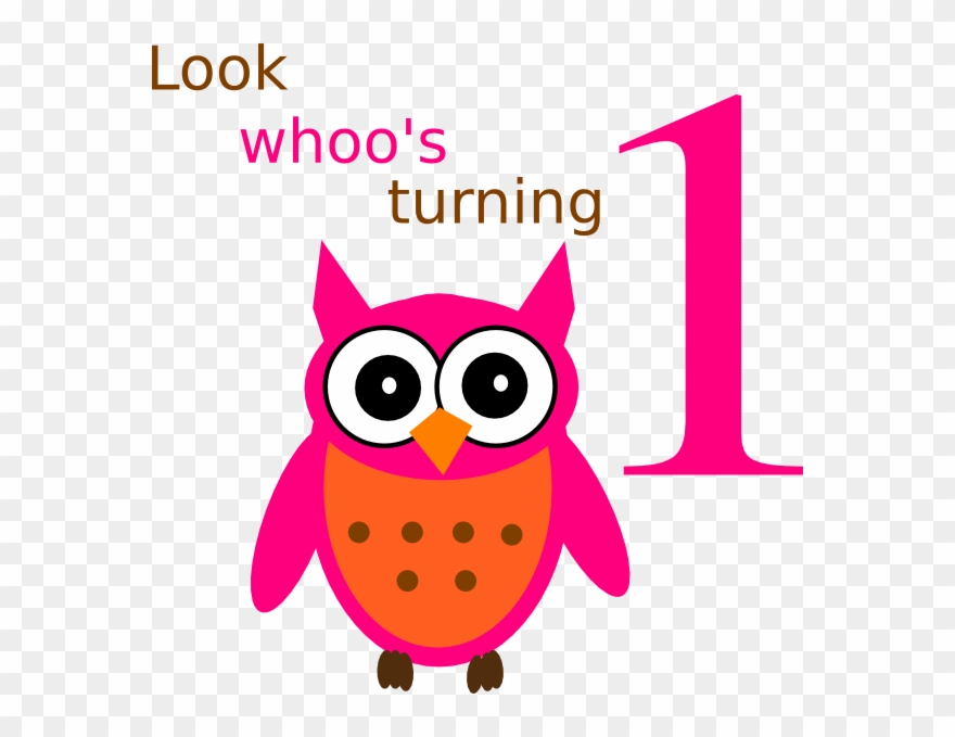 Barn Owl Clipart - Png Download