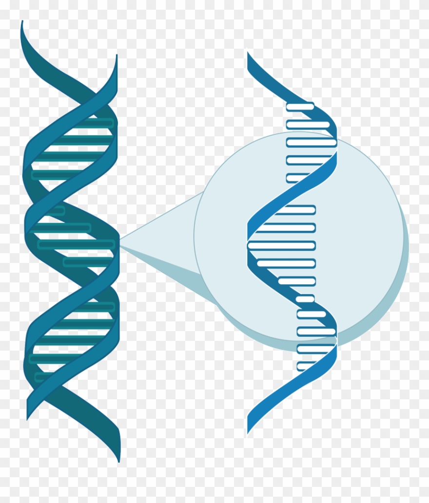 Clip Art Free Library Base Clinical Trial Ischemic - Graphic Design - Png Download