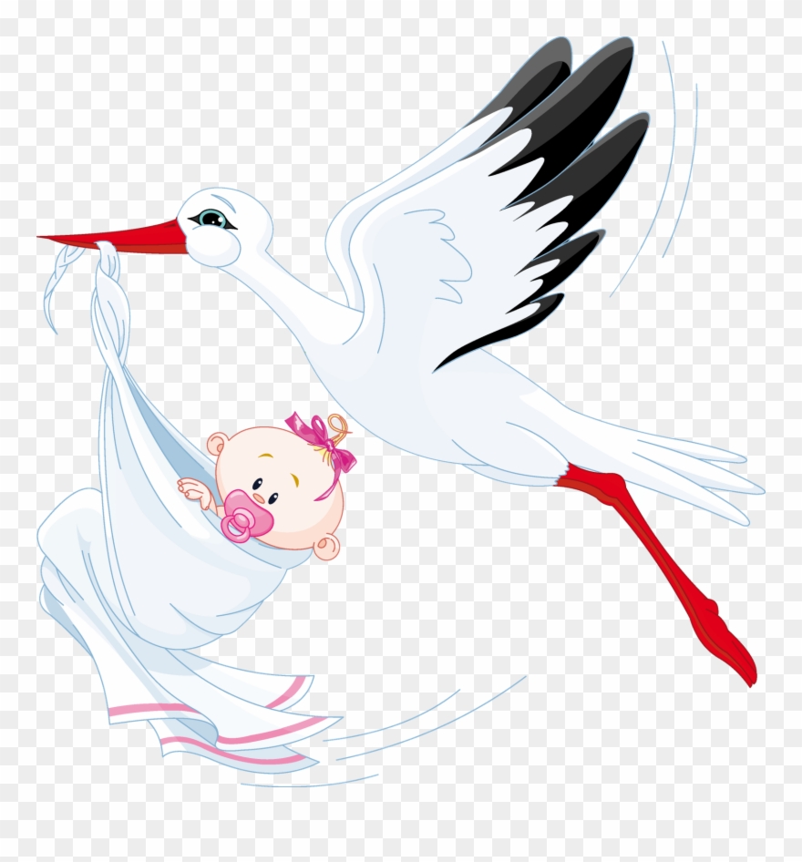 Para Mis Montajes De Photoshop C6 Y Corel Draw - Stork And Baby Vector Clipart