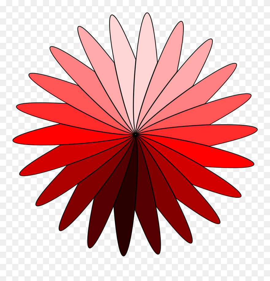 Flower Drawing Coreldraw Computer Icons Common Daisy Clipart