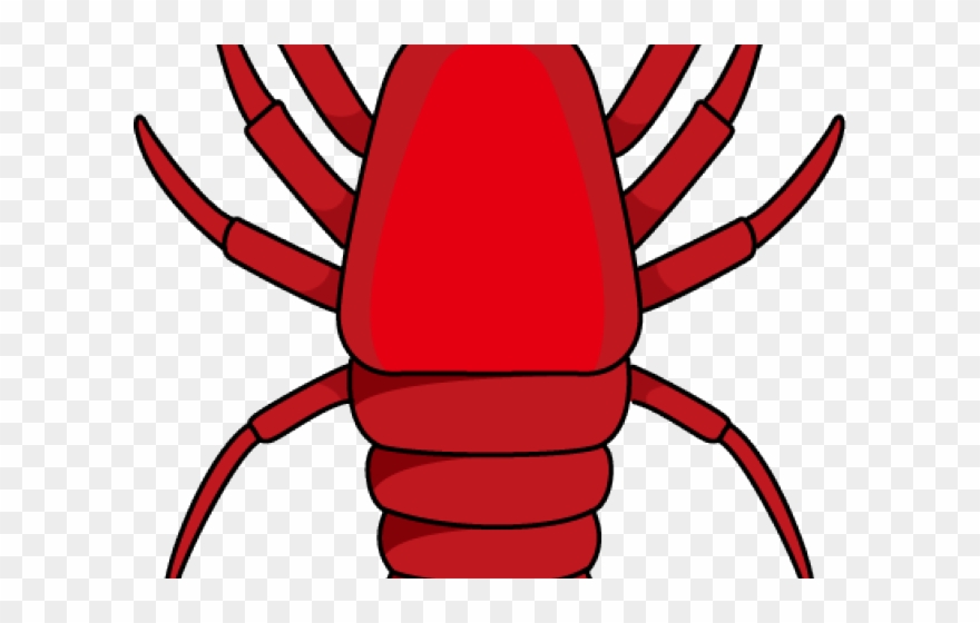 Shrimp Clipart