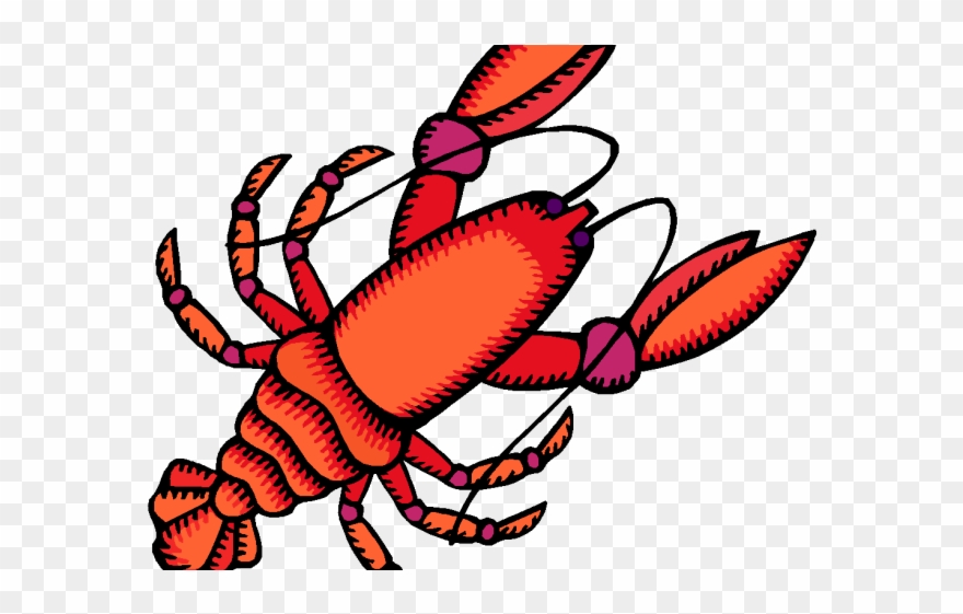 Crayfish Clipart Yabbie - Crayfish Acquired Trait - Png Download