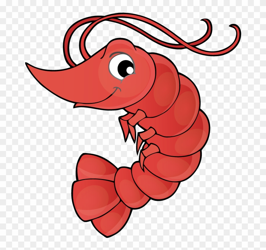 Vector Transparent Library Crawfish Clipart Lobster - Shrimp Drawing Cartoon - Png Download