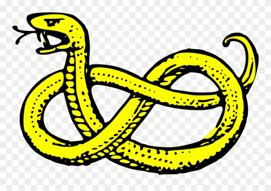 Serpent Nowed Large 900pixel Clipart, Serpent Nowed - Coat Of Arms Symbols Snake - Png Download
