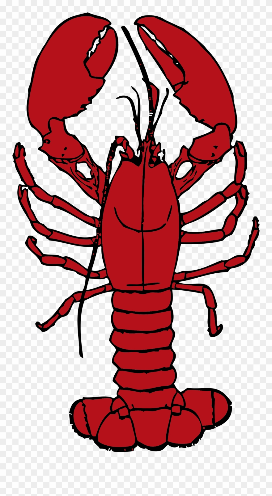 Clip Library Library Crawfish Clipart Boil - Lobster Clipart - Png Download