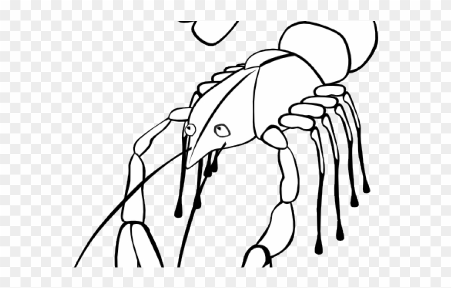 Crawfish Clipart Black And White - Png Download