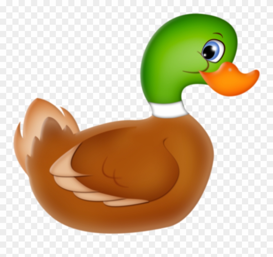 Mallard Duck * Mc Donalds, Quack Quack, Cute Images, - Kačka Clipart - Png Download