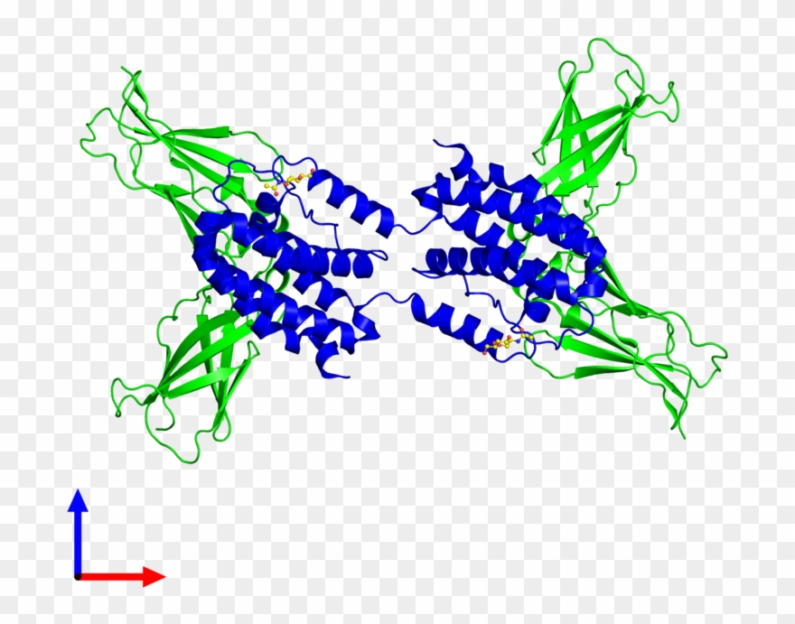 Tetrameric Assembly 1 Of Pdb Entry 1lqs Coloured By - Graphic Design Clipart