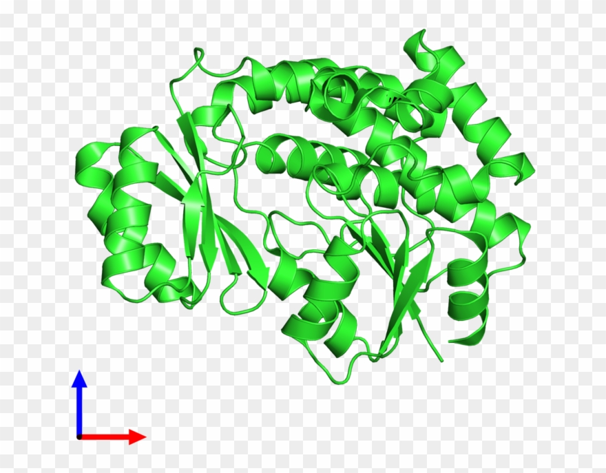 Pdb 3ezo Coloured By Chain And Viewed From The Front Clipart
