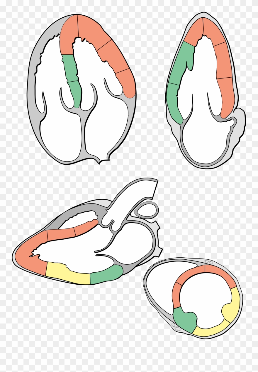 Echo Clip Art - Echo Heart - Png Download