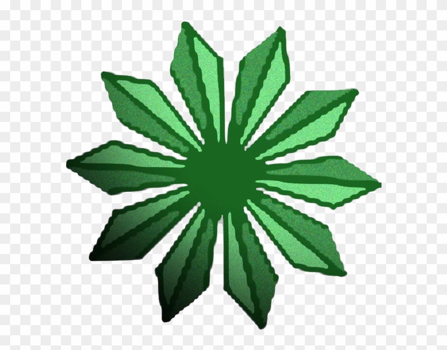 Palm Tree Plan Png Download - Flower Clipart