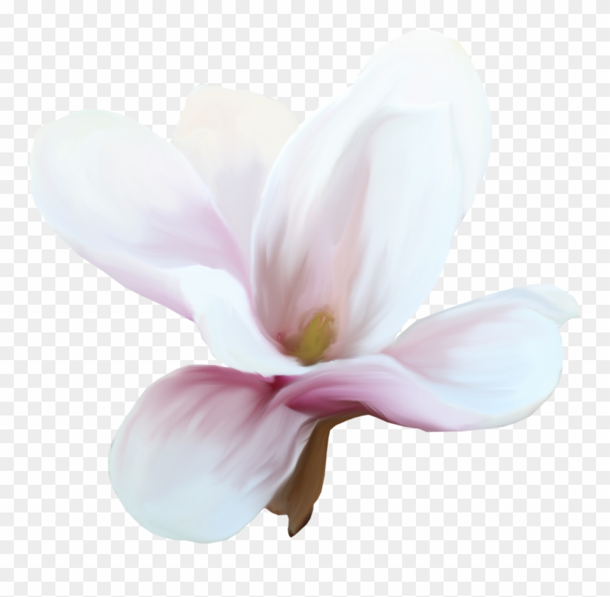 Fotki Scrap, Nature, Prints, Flowers, Garden, Florals, - Flower Clipart