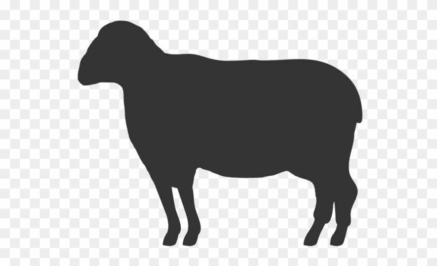 Lamb - Sheep's Meat Clipart