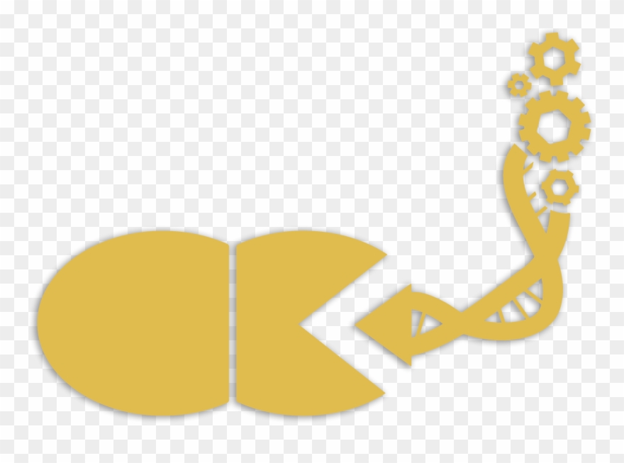 Pneumo Logo Of The Group - Logo Clipart