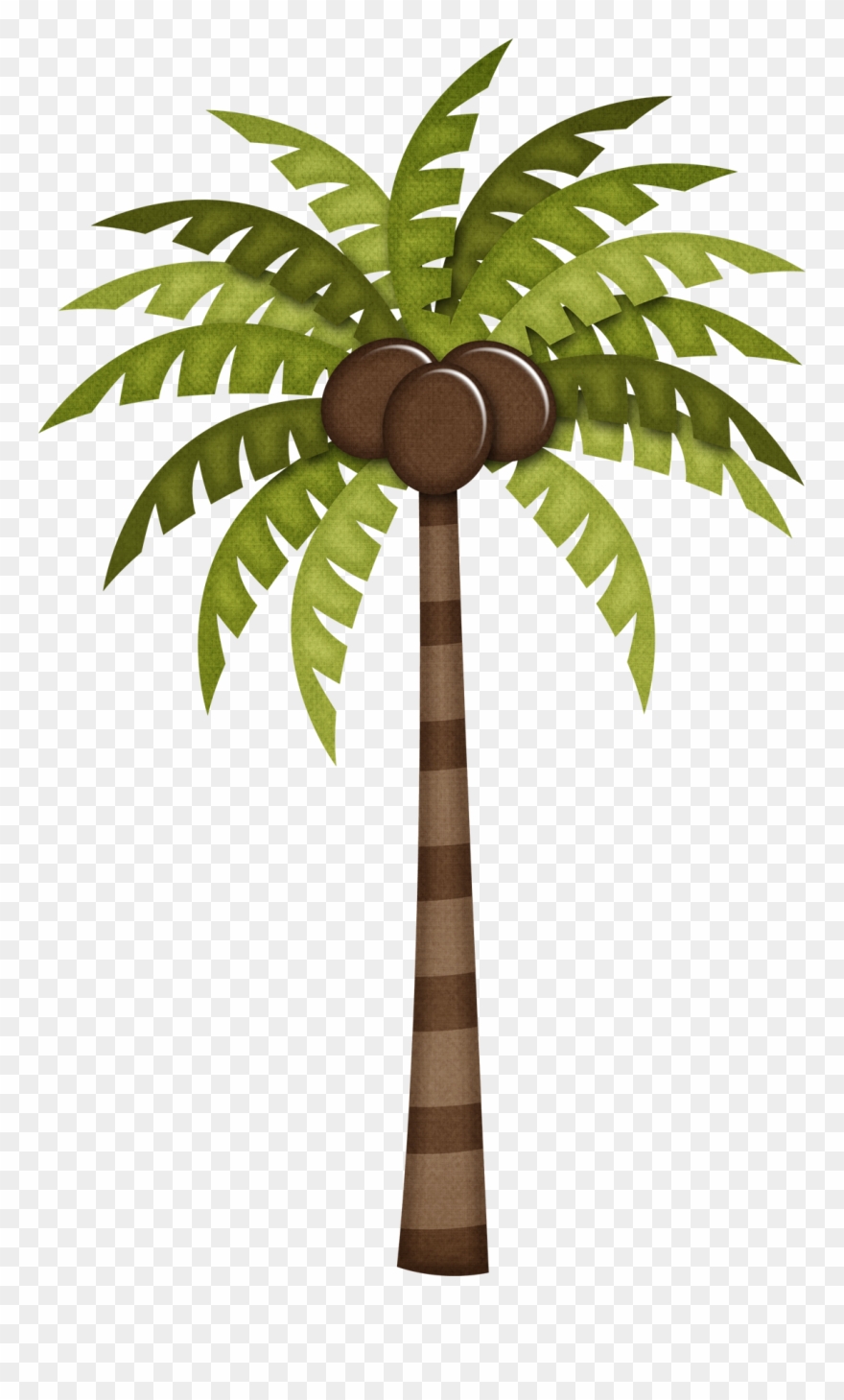 Hawaiian Aloha Tropical - Coqueiro Com Coco Png Clipart