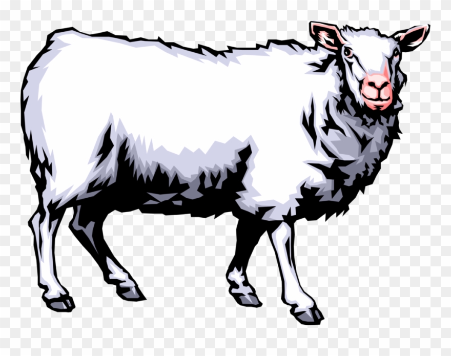 Vector Illustration Of Farm Agriculture Livestock Woolly - Sheep Sounds Clipart