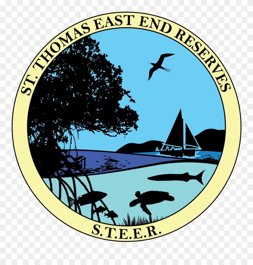 1994 Logo Steer Color - Circle Clipart