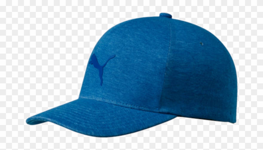 Puma Men's Ignite Evoknit Clipart