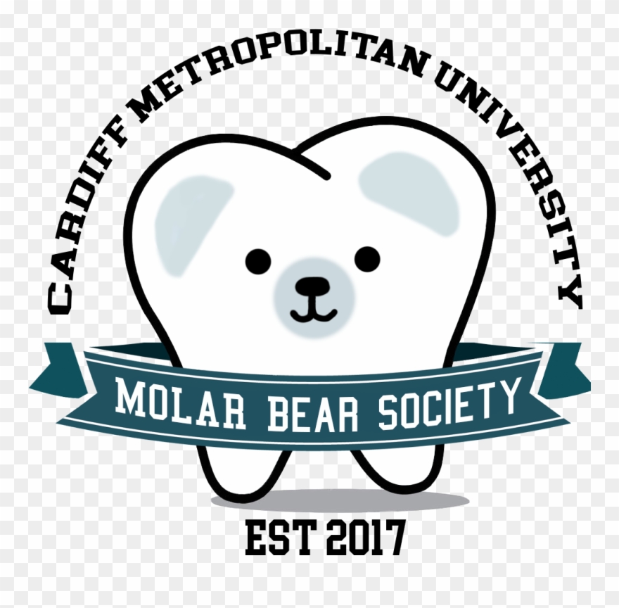 Molar Bears Logo - Bear Clipart