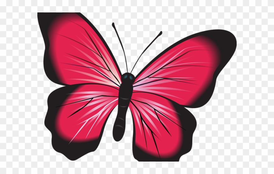 Insect Clipart Butterfly - Fluturi Png Transparent Png