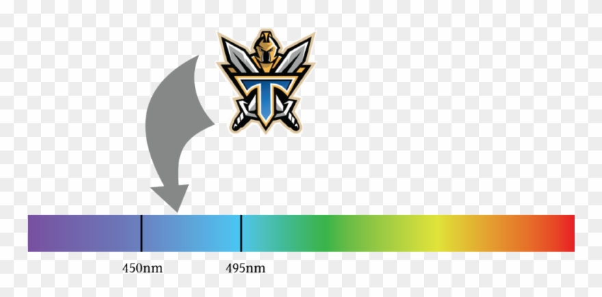 Titan Versus Blue - Nrl: Essentials Gold Coast Titans Dvd Clipart