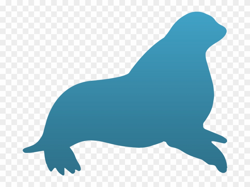 California Sea Lion Clipart