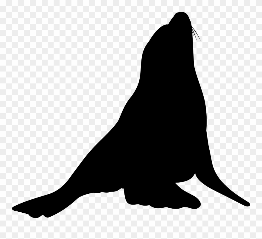 Info - Sea Lion Silhouette Shower Curtain Clipart