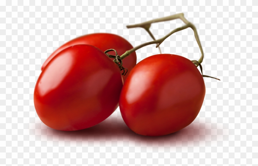 Industrial Tomato - Pomodori Png Clipart