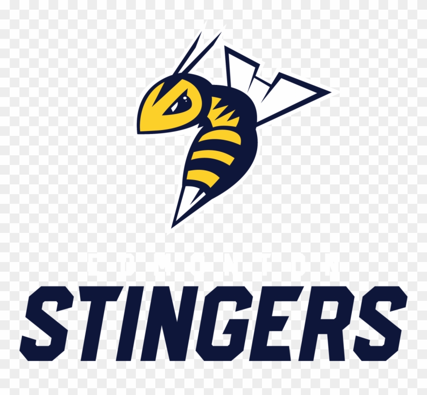 Edmonton's Professional Basketball Team Playing In - Edmonton Stingers Clipart