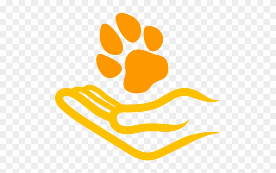 Physiotherapy - Illustration Clipart