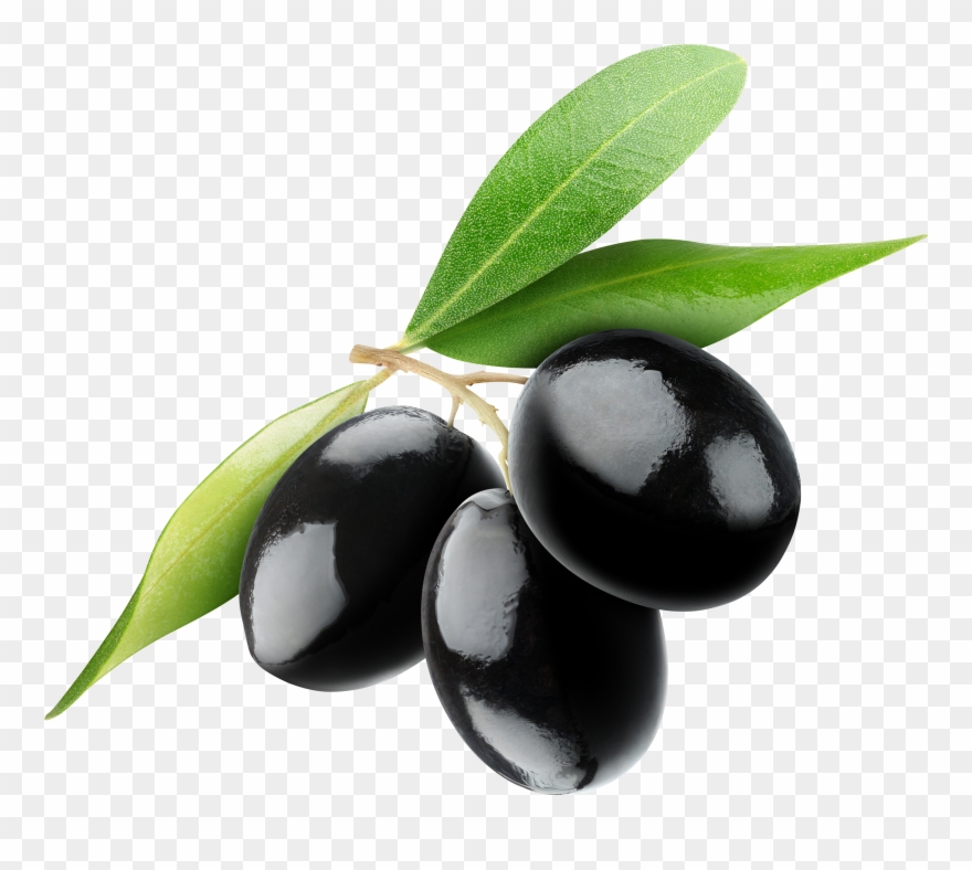 Olive Clipart Transparent Image Free Download - Transparent Olives Png